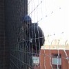 Instalacja zabezpieczeń przed ptakami - siatki